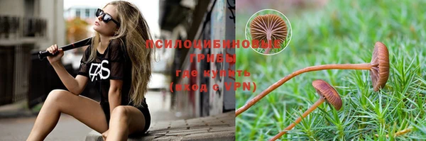 дживик Заволжье